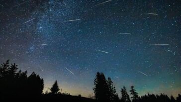 Nuit des étoiles filantes 2025 : les plus belles Perseides d'août et quand les observer 17 Perseidi