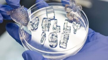 Oubliez les glaçons, voici Jelly Ice : la glace qui rafraîchit sans fondre 24 Jeyy Ice, la glace gélatineuse qui ne fond pas comme la glace ordinaire / Crédit : UC Davis