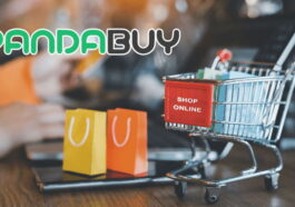 Pandabuy : qu'est-ce que c'est, comment ça marche et comment acheter 40 Pandabuy: qu'est-ce que c'est, comment ça fonctionne et comment acheter
