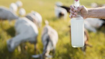 Pourquoi le lait cru peut représenter un danger pour les enfants : astuces pour minimiser les risques 2 Image
