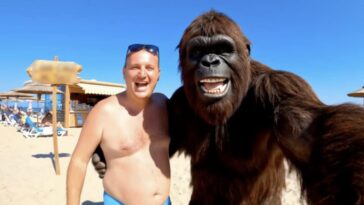 Pourquoi les réseaux sociaux sont-ils envahis par des singes qui partagent leur quotidien ? 1 Pourquoi les réseaux sociaux sont-ils envahis par des singes qui partagent leur quotidien ?