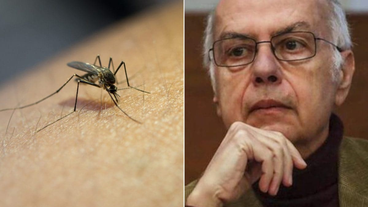 Que révèlent vraiment les données sur les cas de West Nile ? Rezza : « Cette année est particulière pour une raison » 2 Image