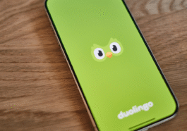 Sur Duolingo, vous pouvez apprendre la langue la plus rare du monde, et ce n'est pas le chinois 15 Sur Duolingo, vous pouvez apprendre la langue la plus rare du monde, et ce n'est pas le chinois