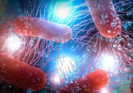 Les scientifiques de Cambridge ont créé une nouvelle forme de vie, une bactérie synthétique appelée Syn57 / Crédit : iStock