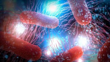 Les scientifiques de Cambridge ont créé une nouvelle forme de vie, une bactérie synthétique appelée Syn57 / Crédit : iStock