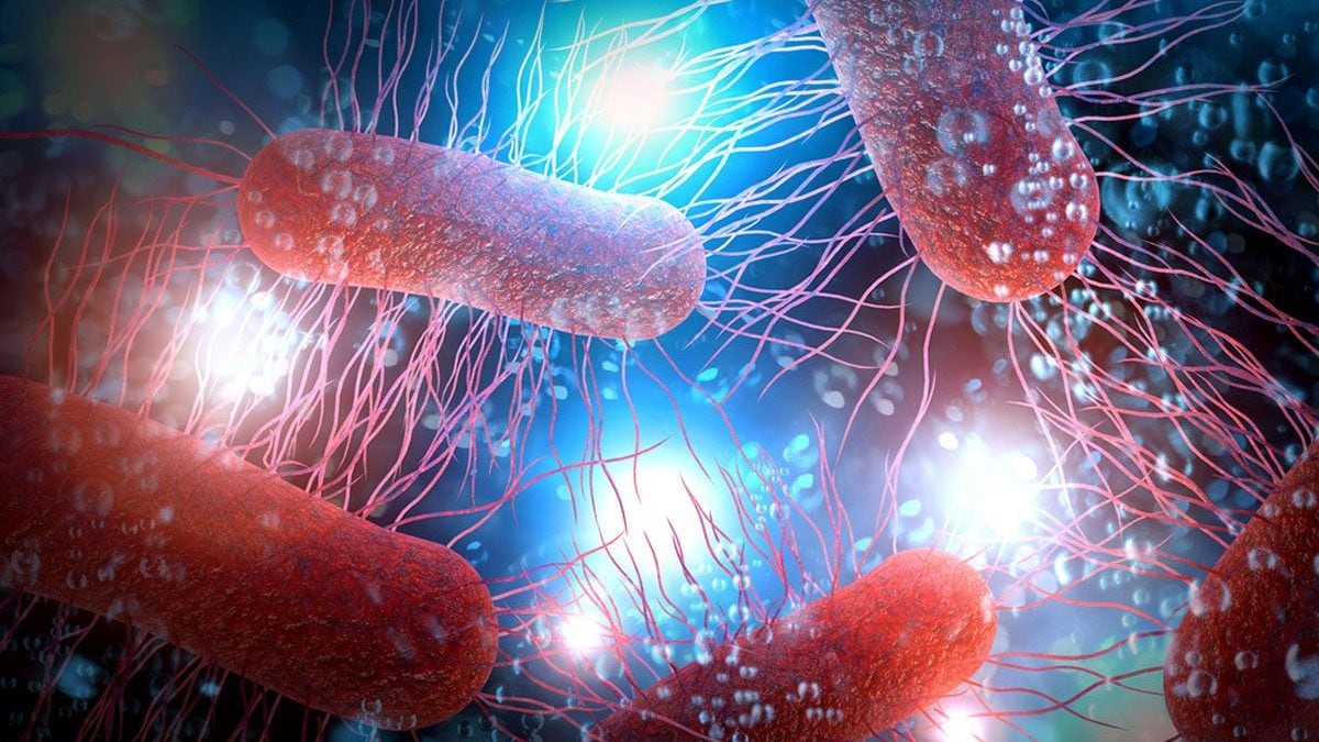 Syn57, une nouvelle forme de vie artificielle : découvrez le bactérie synthétique née à Cambridge 2 Les scientifiques de Cambridge ont créé une nouvelle forme de vie, une bactérie synthétique appelée Syn57 / Crédit : iStock