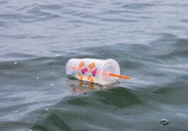 Un dispositif révolutionnaire transforme les déchets plastiques en produits chimiques pour des combustibles durables