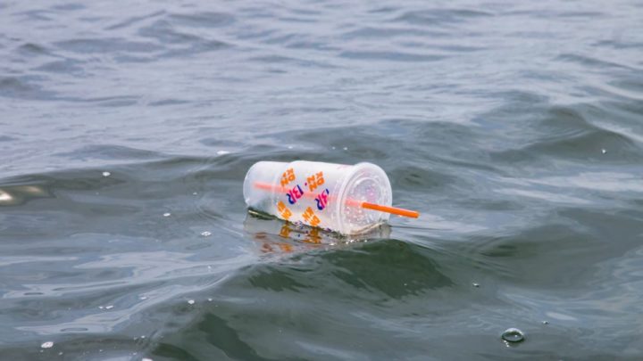 Un dispositif révolutionnaire transforme les déchets plastiques en produits chimiques pour des combustibles durables 2 Plastique dans les océans