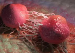 Une découverte incroyable pourrait ouvrir la voie à un vaccin universel contre le cancer