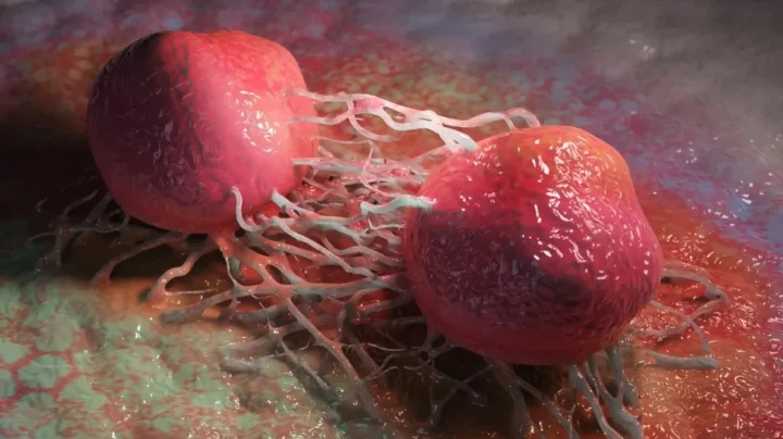 Une découverte incroyable pourrait ouvrir la voie à un vaccin universel contre le cancer 2 Ilustration cancer