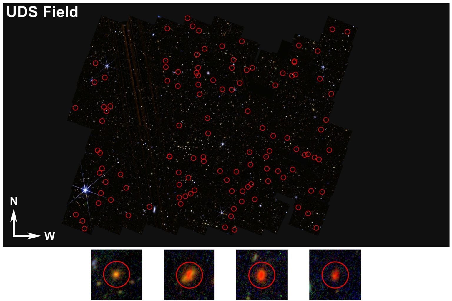 Le télescope James Webb découvre 300 galaxies qui défient la science : "Elles pourraient transformer notre compréhension du cosmos" 3 Les candidates galaxies primordiales découvertes grâce aux données du télescope spatial James Webb. Crédits : Université du Missouri