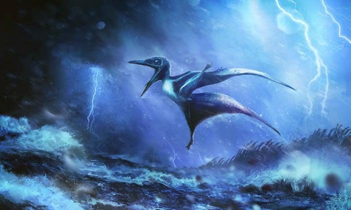 Ces fossiles extraordinaires du Jurassique dévoilent la tragique fin des jeunes ptérosaures 4 Représentation artistique d'un petit pterosauro exposé à une tempête violente. Crédit : Rudolf Hima