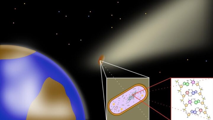 L'origine de la vie pourrait ne pas être le fruit du hasard, mais le résultat d'une intervention extraterrestre 3 1757169330 861 Lorigine de la vie pourrait ne pas etre le fruit