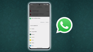 WhatsApp ne permet pas d'ouvrir des documents PDF : erreur fatale après la dernière mise à jour 16 WhatsApp ne permet pas d'ouvrir des documents PDF : erreur fatale après la dernière mise à jour