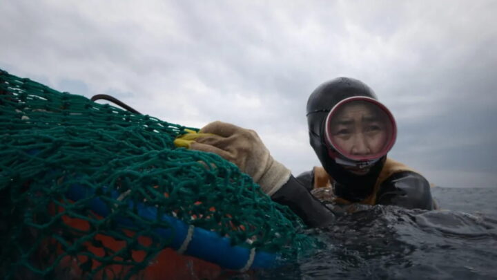 Les plongeuses Haenyeo : "la plus proche expérience d'une étude de sirènes" 4 1758630933 396 Les plongeuses Haenyeo la plus proche experience dune etude