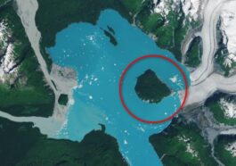 La nouvelle île née en Alaska. Crédit : Earth Observatory/NASA