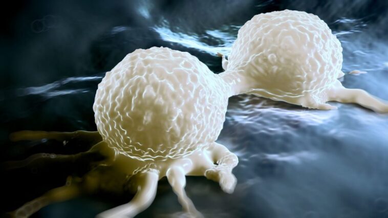 Cancer et mortalité en hausse : selon une étude parue dans The Lancet, 40 % des cas sont attribuables à des causes évitables 1 Image