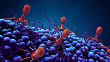 Créez les premiers virus grâce à l'intelligence artificielle : une menace pour les organismes vivants 29 Image