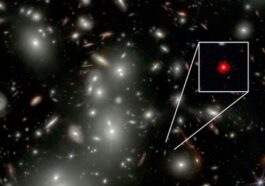 Le premier trou noir de l'Univers se trouve dans la galaxie CAPERS–LRD–z9 : dans les images du télescope spatial James Webb, sa présence est révélée par un petit point rouge enveloppé de gaz, le noyau galactique actif qui l'abrite.