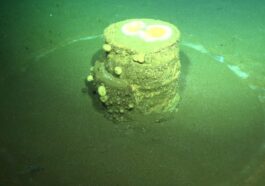 Un anneau blanc autour d'un baril de déchets toxiques jeté dans l'Océan Pacifique. Crédit : Schmidt Ocean Institute