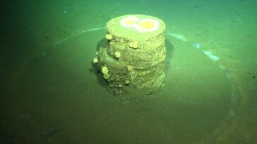 Des cercles énigmatiques blancs émergent autour de fûts de déchets toxiques jetés en mer : impossibles à enlever 27 Un anneau blanc autour d'un baril de déchets toxiques jeté dans l'Océan Pacifique. Crédit : Schmidt Ocean Institute