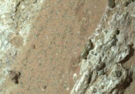 Les roches sur lesquelles des bio-signes potentiels ont été relevés sur Mars. Crédit: NASA/JPL–CALTECH/MSSS
