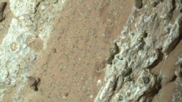 Les roches sur lesquelles des bio-signes potentiels ont été relevés sur Mars. Crédit: NASA/JPL–CALTECH/MSSS