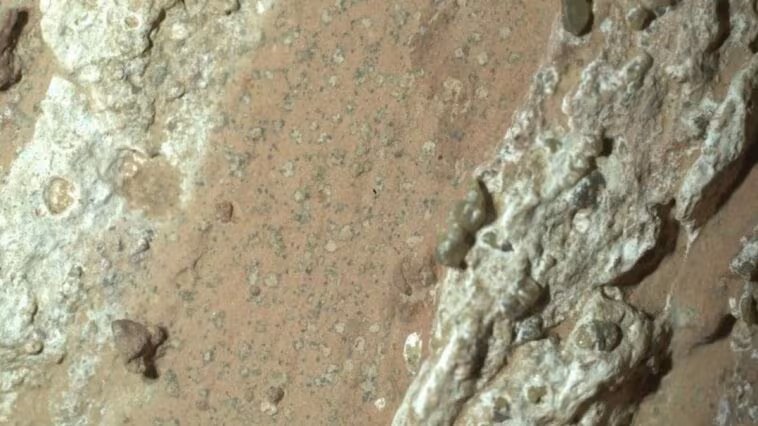 Des indices de vie découverts sur Mars : annonce marquante de la NASA, mais ce ne sont pas les extraterrestres que vous imaginez 1 Les roches sur lesquelles des bio-signes potentiels ont été relevés sur Mars. Crédit: NASA/JPL–CALTECH/MSSS