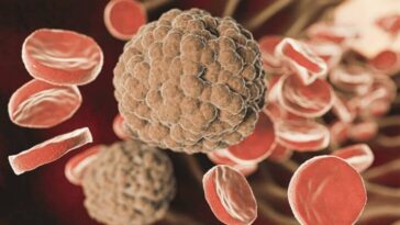 Finalement, les œufs peuvent-ils vraiment aider à réduire le mauvais cholestérol ?