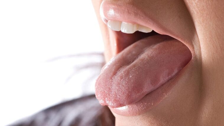 Les micro-organismes de la bouche ont un impact bien plus important qu'on ne le croit : leur rôle secret durant le sommeil 1 Image