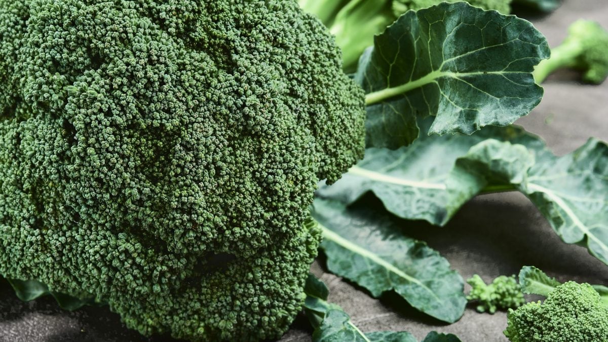 Manger ces légumes chaque jour peut diminuer le risque de cancer du côlon : étude à découvrir 2 Image