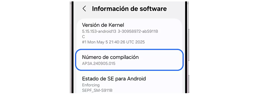 One UI 8 a un problème, mais ce n'est pas de quoi s'inquiéter 2 options de développeur Samsung