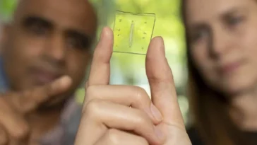 Poumon en puce : une innovation avec son propre système immunitaire