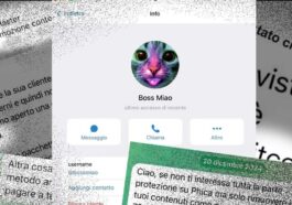 Qui est Boss Miao, l'homme derrière Phica, sa réaction au scandale et combien d'argent il demandait : "De 250 à 1000 euros"
