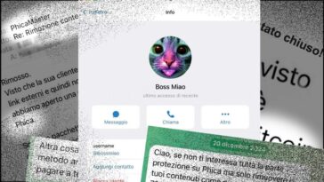 Qui est Boss Miao, l'homme derrière Phica, sa réaction au scandale et combien d'argent il demandait : "De 250 à 1000 euros" 13 Qui est Boss Miao, l'homme derrière Phica, sa réaction au scandale et combien d'argent il demandait : "De 250 à 1000 euros"