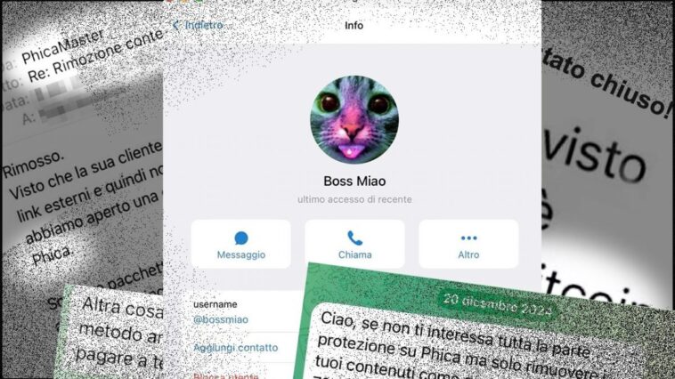 Qui est Boss Miao, l'homme derrière Phica, sa réaction au scandale et combien d'argent il demandait : "De 250 à 1000 euros" 1 Qui est Boss Miao, l'homme derrière Phica, sa réaction au scandale et combien d'argent il demandait : "De 250 à 1000 euros"