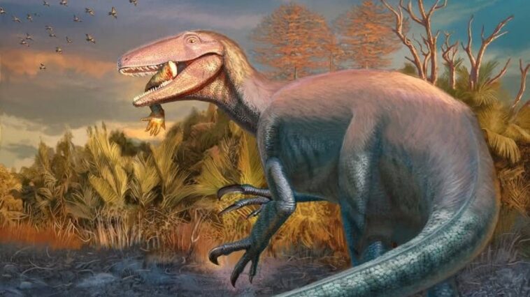 Un gigantesque raptor découvert en Argentine : une macabre surprise cachée entre les dents du redoutable dinosaure 1 Illustration du megaraptor Joaquinraptor casali. Crédit: Andrew McAfee / Carnegie Museum of Natural History