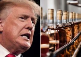 Une étude sur les effets de l'alcool stoppée par Trump : quelles découvertes intrigantes faisaient surface 46 Image