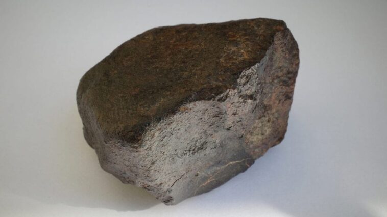Une météorite retrouvée en Calabre, tombée à quelques mètres d'un propriétaire de plage 1 Une condrite.