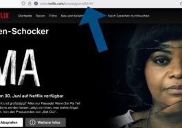 Netflix-Codes: So findest du leichter Filme & Serien