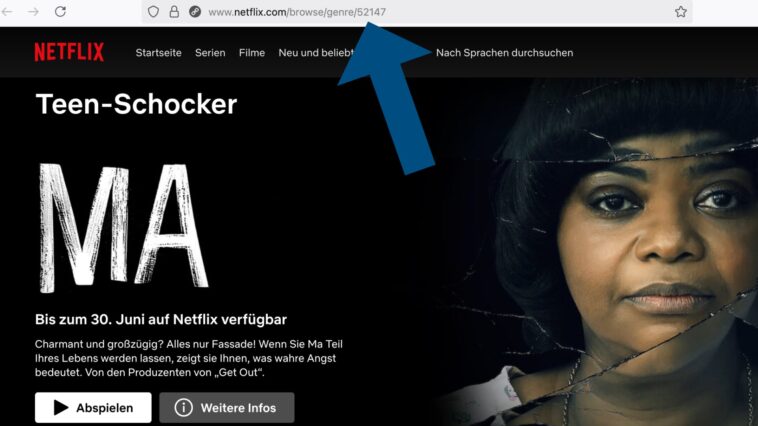 Codes Netflix : Découvre plus facilement des films et des séries 1 Netflix-Codes: So findest du leichter Filme & Serien
