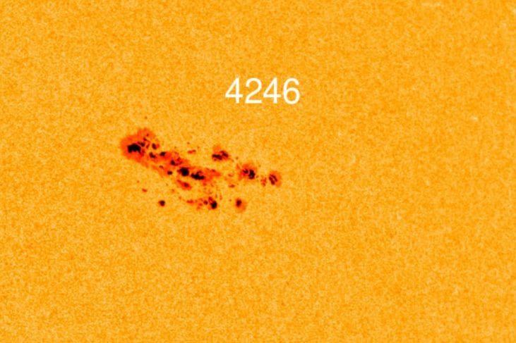 La macchia solare AR4246. Crédit : NASA/SDO
