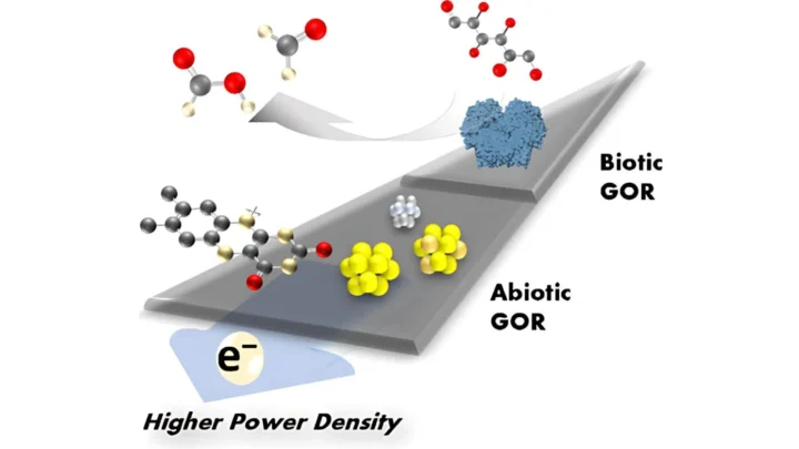 Innovation : une batterie révolutionnaire créée à partir de vitamine B2 et de sucre, inspirée du métabolisme humain 4 1760820156 341 Innovation une batterie revolutionnaire creee a partir de vitamine.webp