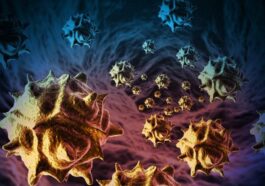 Augmentation du cancer du côlon chez les jeunes : une nouvelle étude révèle un coupable clé 67 Image