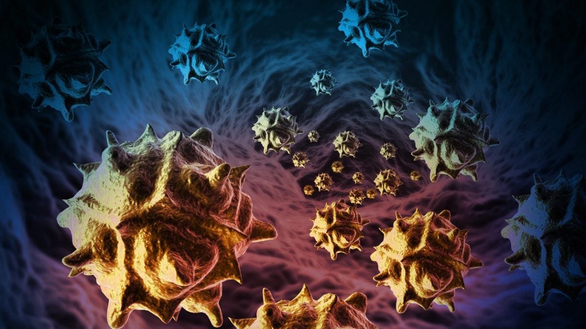 Augmentation du cancer du côlon chez les jeunes : une nouvelle étude révèle un coupable clé 2 Image