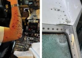 À gauche, le bras blessé du pilote et à droite, les dommages au pare-brise et sur la fuselage provoqués par l'impact. Crédit : BlueSky/JonNYC