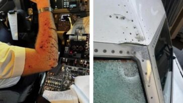 À gauche, le bras blessé du pilote et à droite, les dommages au pare-brise et sur la fuselage provoqués par l'impact. Crédit : BlueSky/JonNYC