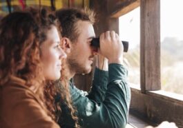 Comment des cerveaux différents amènent-ils les personnes à percevoir le monde de manière similaire ?