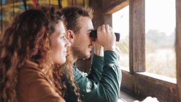 Comment des cerveaux différents amènent-ils les personnes à percevoir le monde de manière similaire ?