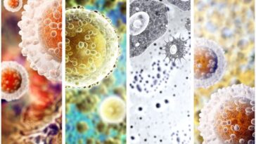 Des bactéries secrètes dans les tumeurs génèrent une substance essentielle pour vaincre le cancer 23 Image